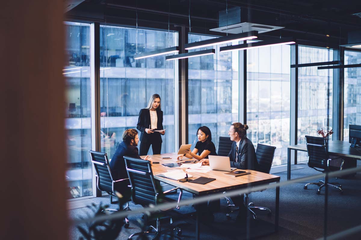 PROFESSIONAL BACHELOR'S DEGREE OF BUSINESS MANAGEMENT