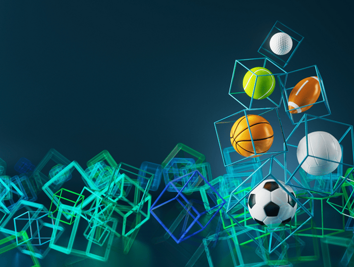 PROFESSIONAL DOCTORATE OF SPORTS MANAGEMENT 